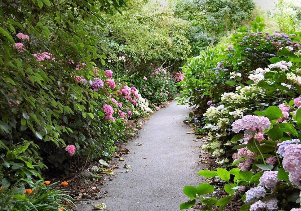 Crofton House Garden Apartment Ryde (Isle of Wight) Exterior foto